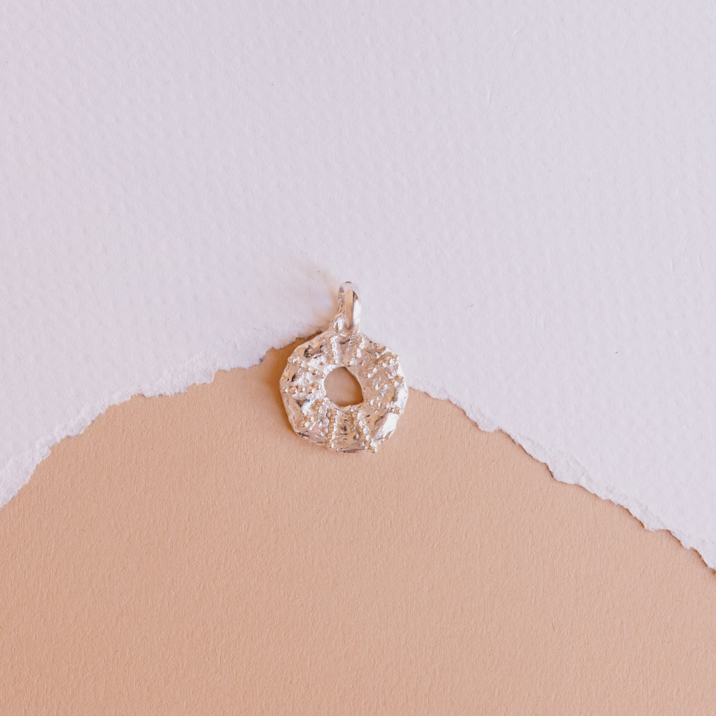 The Silver Sea Urchin (by order)