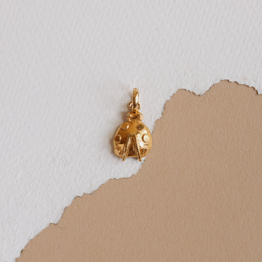 The Iconic Gold Ladybug