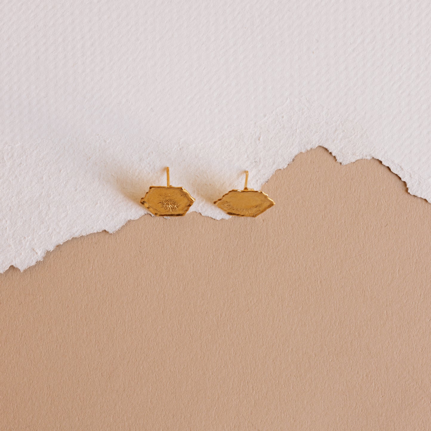 The Everyday Hexagon Earrings