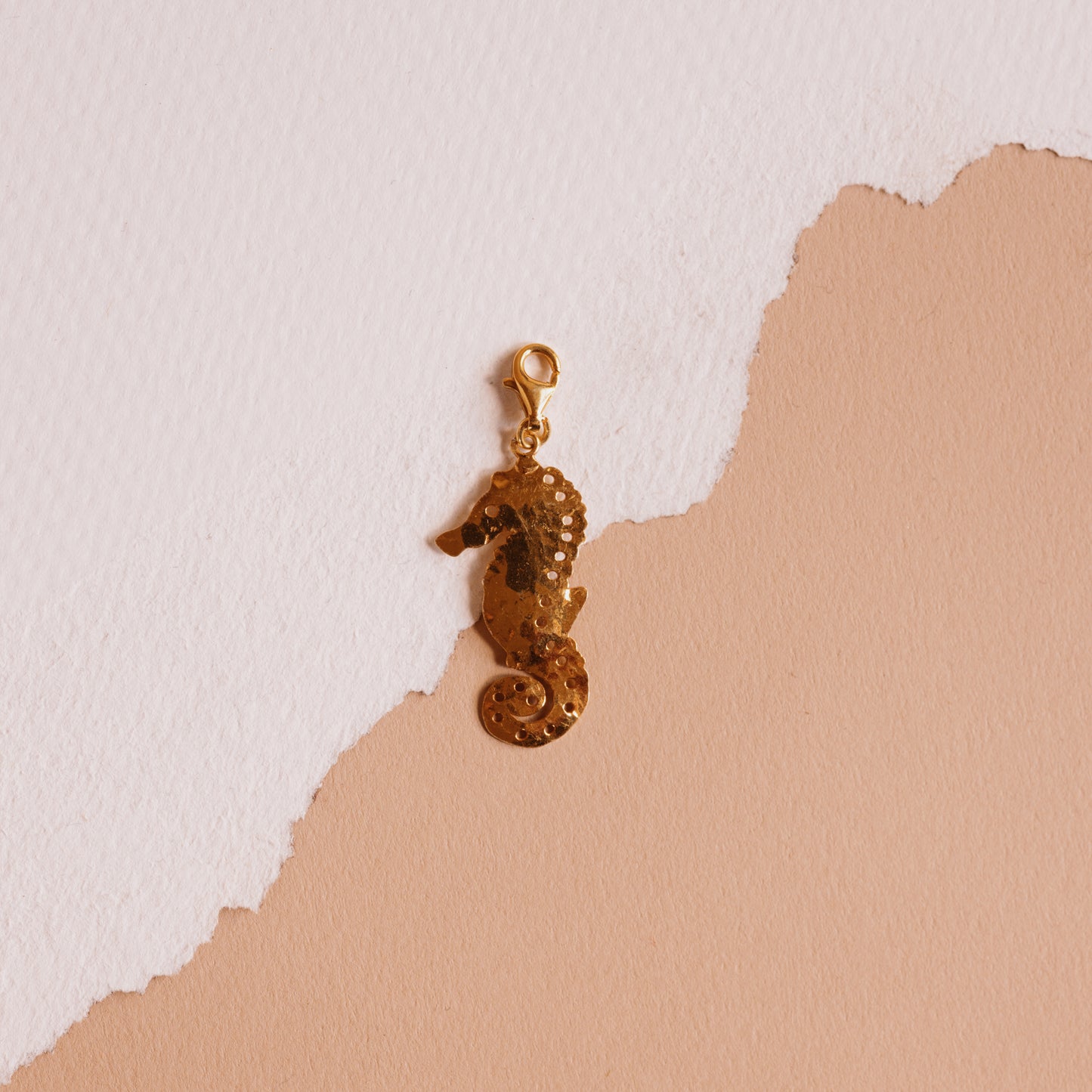 The Gold Clip In Seahorse