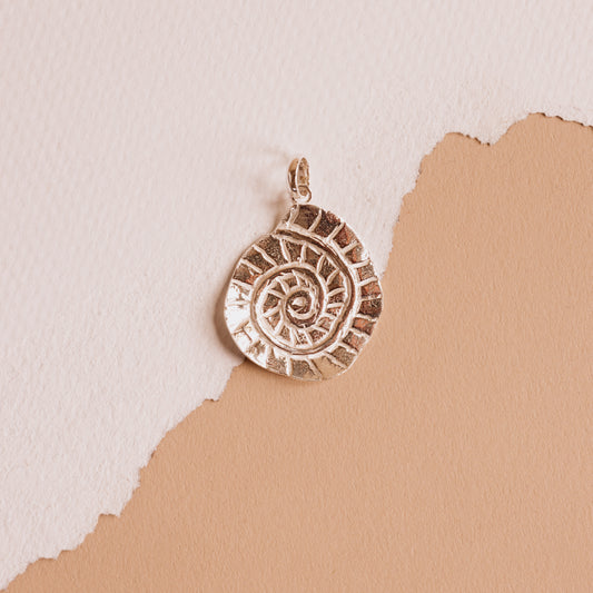 The Silver Snail Shell